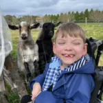 little boy and goats